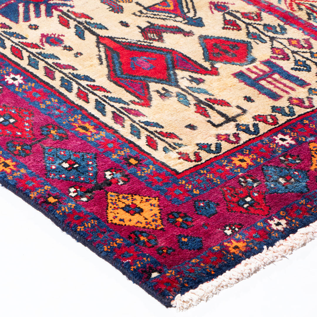 Sirjan rug