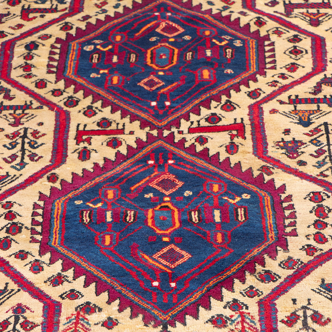 Sirjan rug