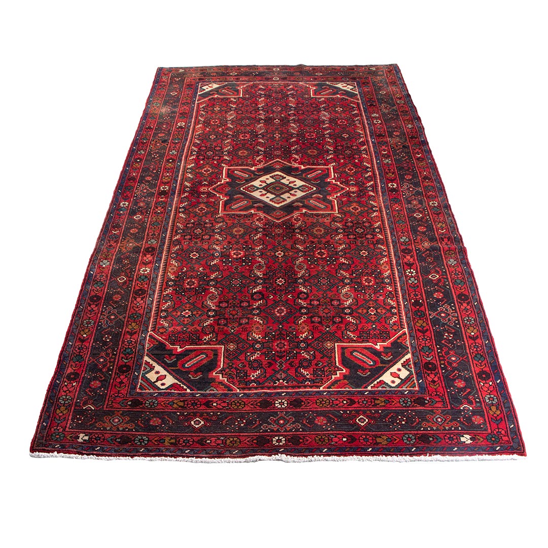 Hamedan rug 310×157 cm
