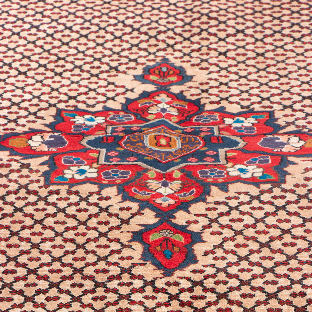 Koliai rug 288×155 cm
