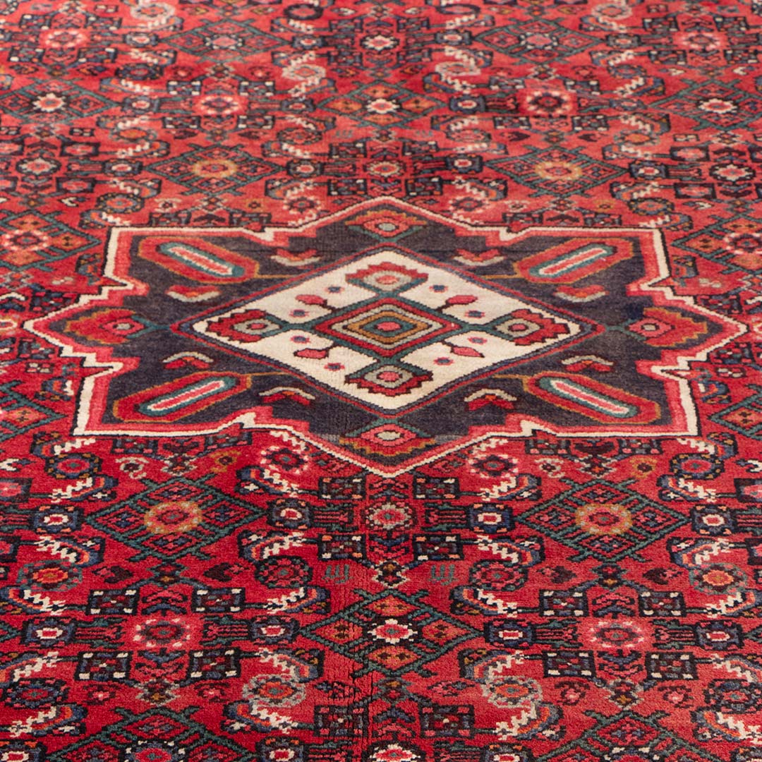 Hamedan rug 310×157 cm