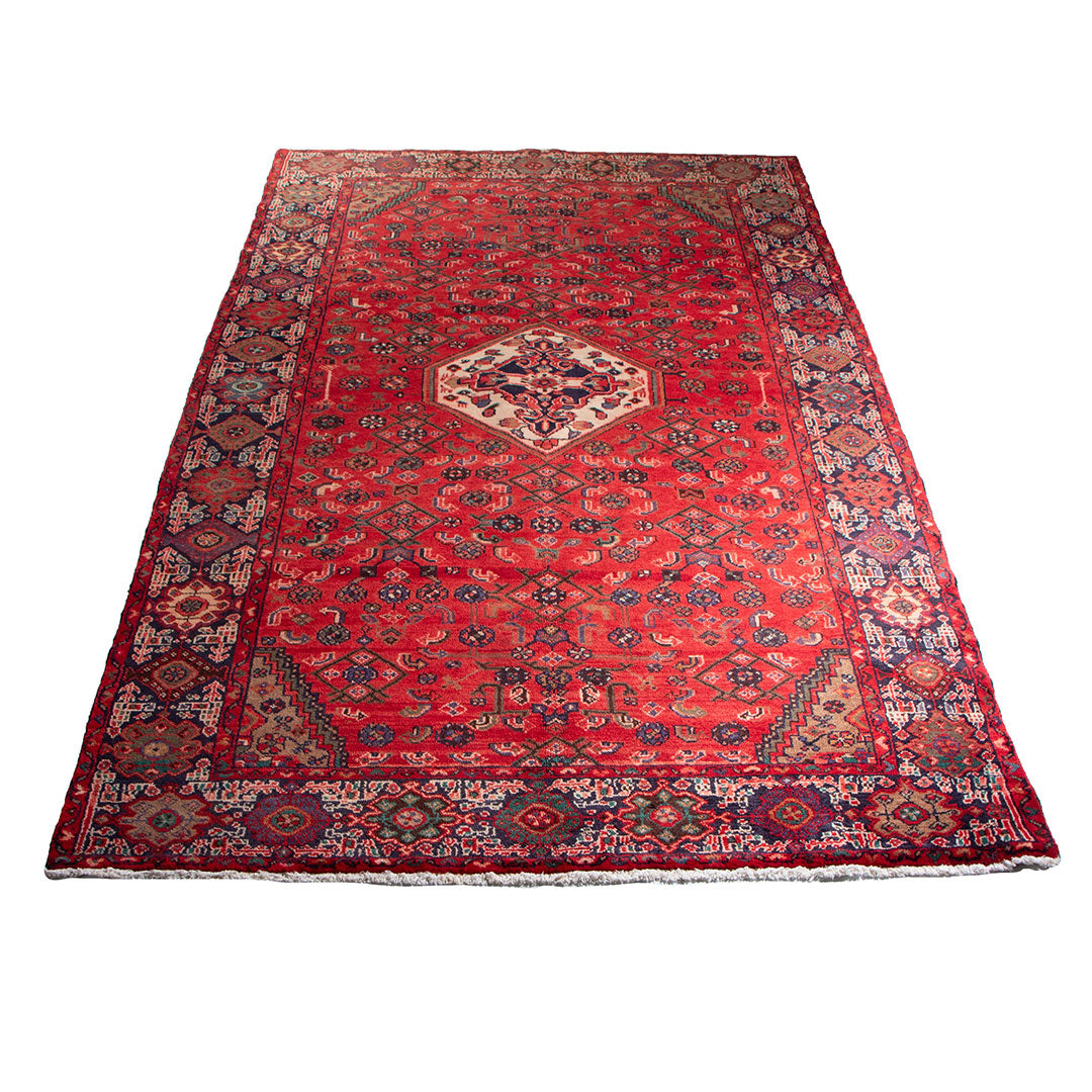 Hamedan rug 281×163 cm