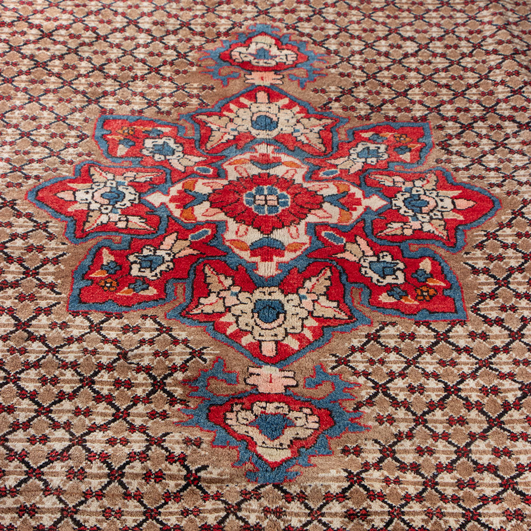 Koliai rug 332×161