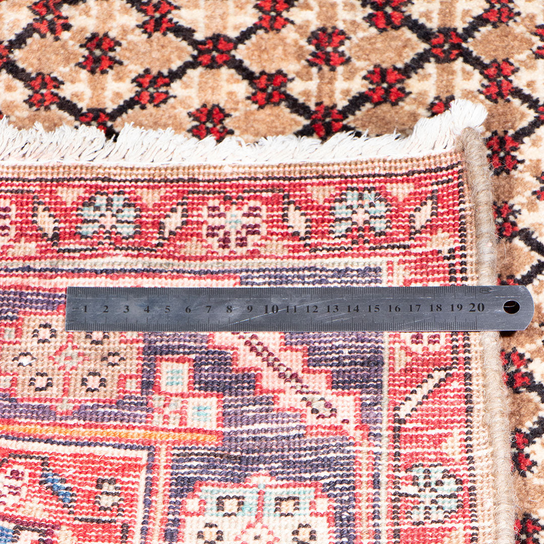 Koliai rug 332×161