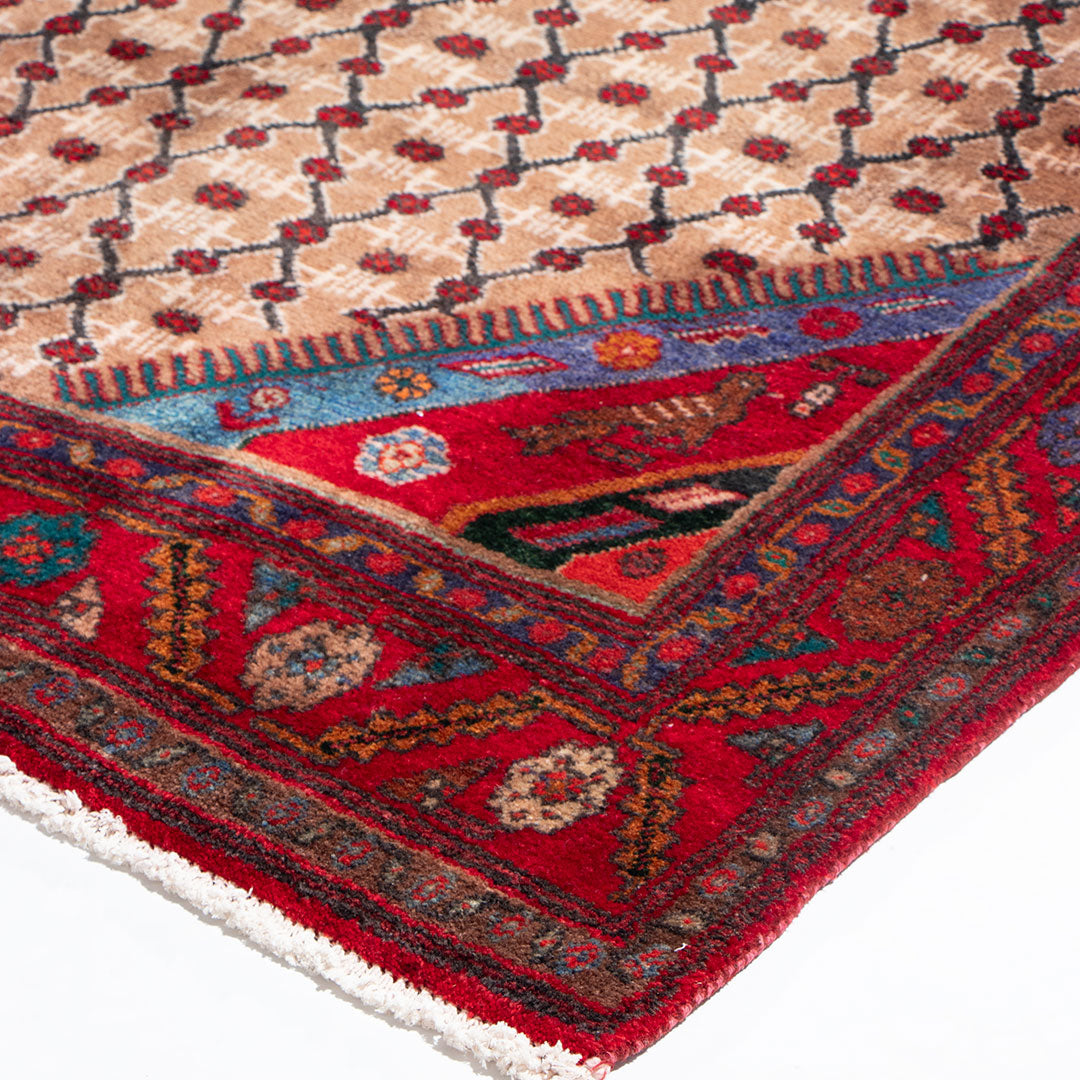 Koliai rug 309×152 cm