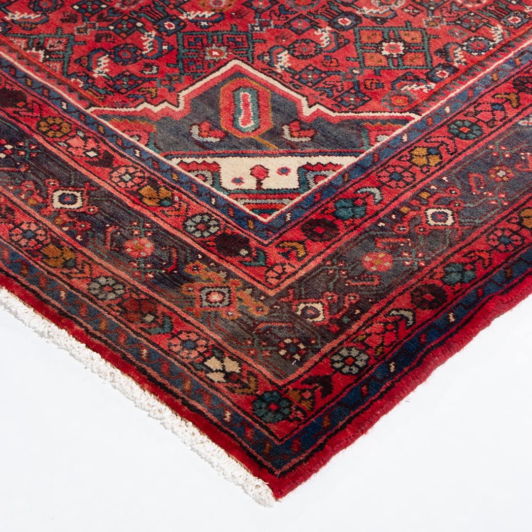 Hamedan rug 310×157 cm