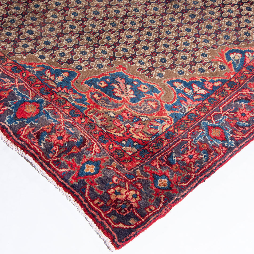 Koliai rug 318×145 cm