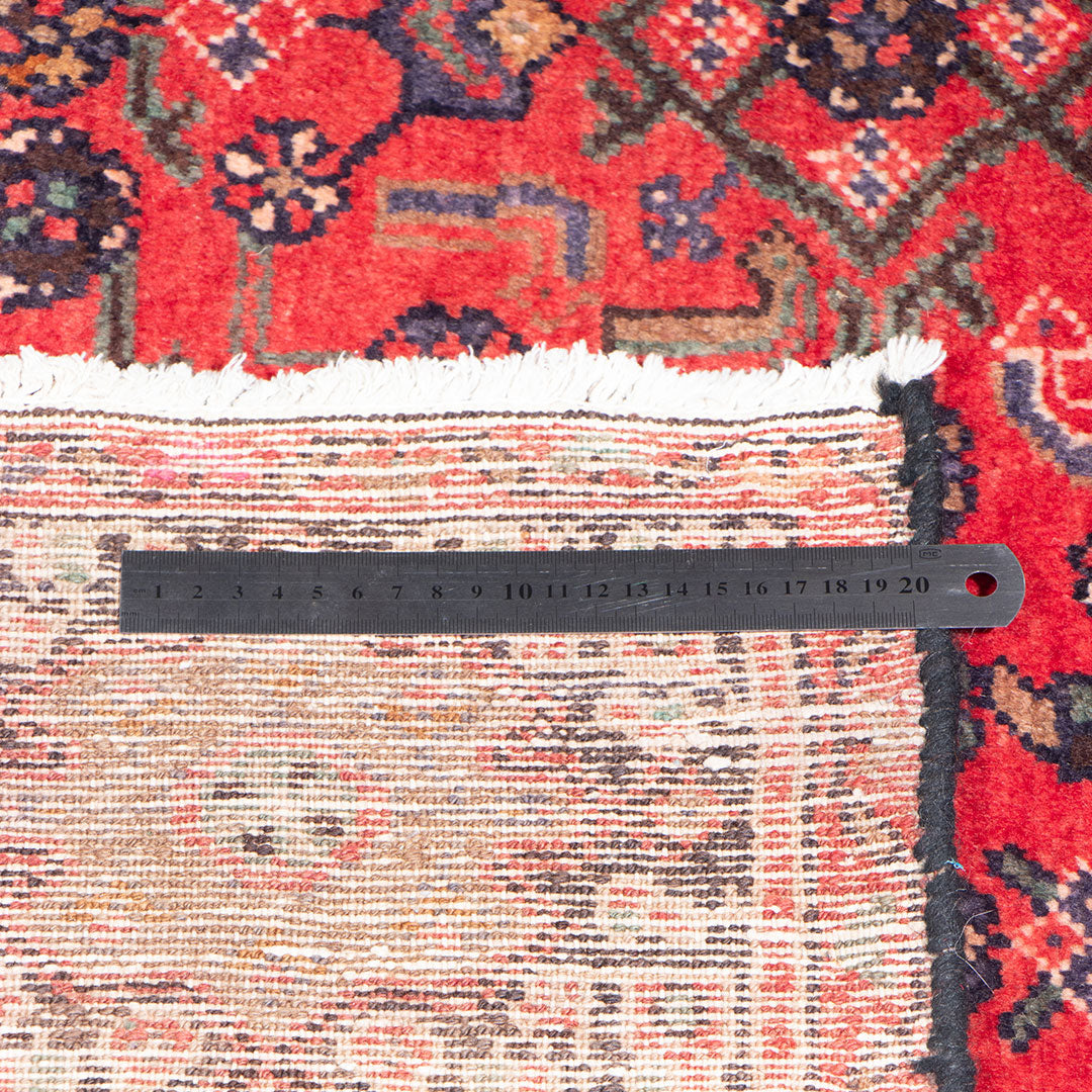 Hamedan rug 281×163 cm