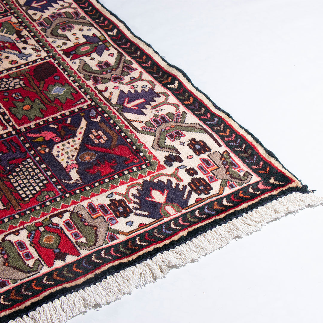 Bakhtiar rug 263×145 cm