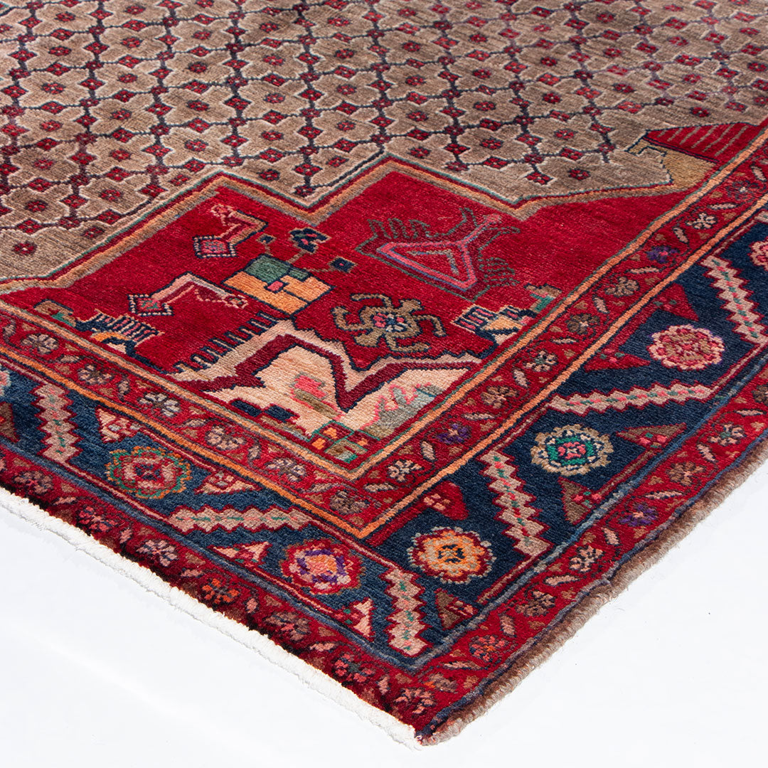 Koliai rug 288×147 cm