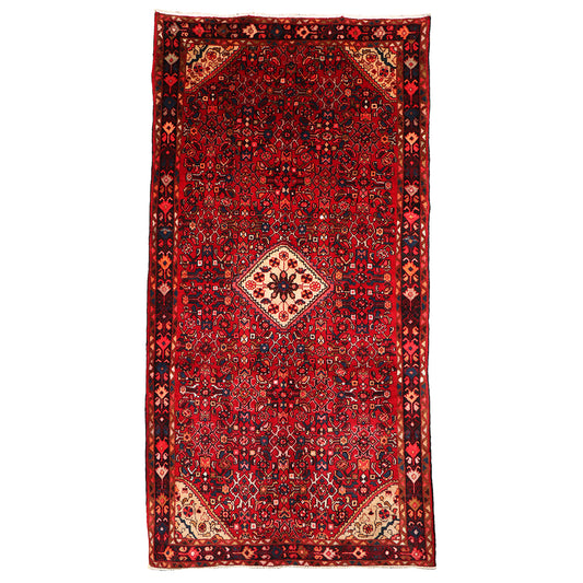 Hamedan rug 299×152 cm