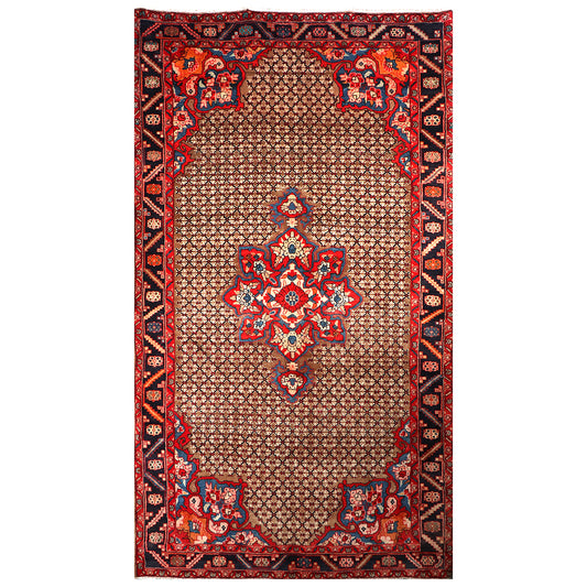 Koliai rug 332×161